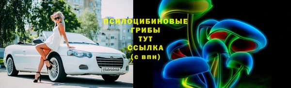 jwh Белокуриха