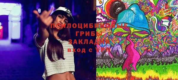jwh Белокуриха