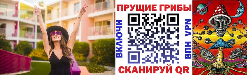 Купить закладки  Кохма  Псилоцибиновые грибы мицелий 